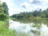 VIEW HỒ ĐẠT LÍ - THỔ CƯ - CỰC ĐẸP